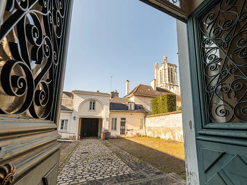 Hélianthe à Troyes — photographie 3