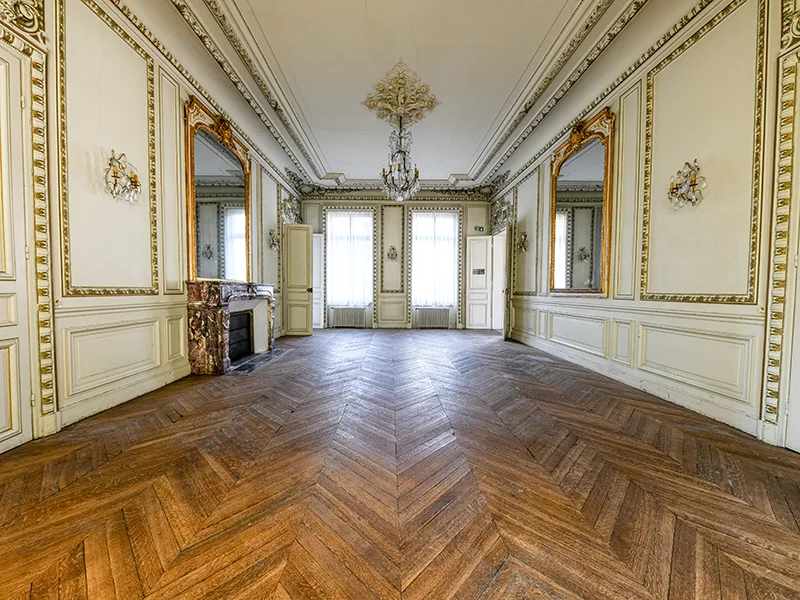 Hélianthe à Troyes — photographie 4